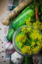 Top view closeup jar pickles other ingredients pickling Royalty Free Stock Photo