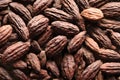 Top view closeup of a pile of tasty dry Cacao beans