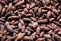 Top view closeup of a pile of tasty dry Cacao beans