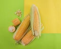 Fresh sweet corn on cobs on yellow and green background, closeup, top view Royalty Free Stock Photo