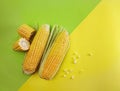 Fresh sweet corn on cobs on yellow  and green background, closeup, top view Royalty Free Stock Photo