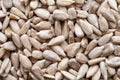 Top view closeup shot of a heap of sunflower seeds Royalty Free Stock Photo