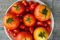 Top view closeup studio shot of two healthy fresh delicious red and cherry tomatoes vegetable species in white plastic bowl Royalty Free Stock Photo