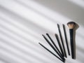 Top view closeup of various professional female cosmetics brushes for makeup . Cosmetic brush Royalty Free Stock Photo