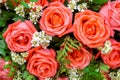 Closeup of wedding pink roses flower bouquet background and wallpaper Royalty Free Stock Photo
