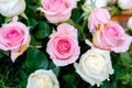 Wedding pink roses flower bouquet on blurry background Royalty Free Stock Photo