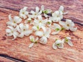 Top view closeup view of the white petals of the snowdrop flower on a wooden surface Royalty Free Stock Photo