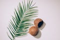top view of coconut shells and green palm leaves Royalty Free Stock Photo
