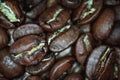 Top view of coffee beans closeup shot, Colour retro style, Thailand