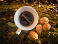 Top view coffee cup and walnuts on tree trunk at sunset Royalty Free Stock Photo