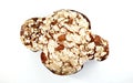 Top view of Colomba Pasquale, typical italian easter cake. White background.
