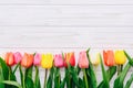 Top view on color tulips in a row on white wooden table Royalty Free Stock Photo