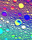 Top view on colorful drops of oil on the water. Circles and ovals Royalty Free Stock Photo