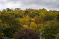A top view of colorful forest trees in the autumn season. Aerial nature scene of maple trees Royalty Free Stock Photo