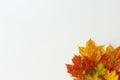 Top view of colorful maple leaves as autumn decoration, on white table background. Copy space. Royalty Free Stock Photo