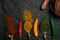 Top view on oriental spices in spoons and scattered and peppers on the black metallic tray in Asian style