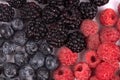 Top view on composition of red, blue and black splattered with water berries