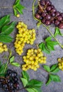 Top view composition of various grapes: red, white and black berries and green leaves with water drops on the dark concrete backgr Royalty Free Stock Photo