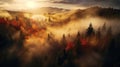 Top view of coniferous forest in autumn at sunset with fog, sunset, God Rays, autumn, drone view Royalty Free Stock Photo