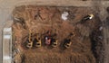 Top view of construction site with group of excavators