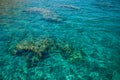 Top view coral bottom of Red sea clean nature tropic scenic landscape background view through transparent water