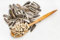 Top view of cores and pile of sunflower seeds Royalty Free Stock Photo