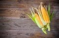 Top view corn cob Royalty Free Stock Photo