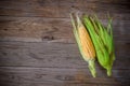 Top view corn cob on wooden table Royalty Free Stock Photo