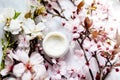 Top view of cosmetic cream with pink cherry flowers in a blue glass jar. Hygienic skincare lotion product Royalty Free Stock Photo