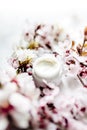 Top view of cosmetic cream with pink cherry flowers in a blue glass jar. Hygienic skincare lotion product Royalty Free Stock Photo