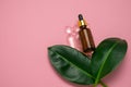 Top view cosmetic oil bottle with pipette flat lay with green leaves and copy space on pink background