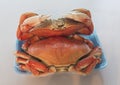Top view of Crab seafood package Royalty Free Stock Photo