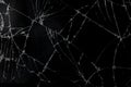 Top view cracked broken mobile screen glass texture background.