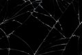 Top view cracked broken mobile screen glass texture background. Royalty Free Stock Photo