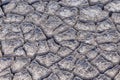 Cracked earth soil texture background with light color Royalty Free Stock Photo