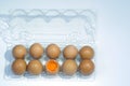 Top view of cracked fresh egg and whole eggs with bright yolk in plastic tray for eggs. Royalty Free Stock Photo