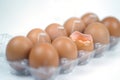 Top view of cracked fresh egg and whole eggs with bright yolk in plastic tray for eggs. Royalty Free Stock Photo