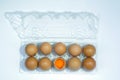 Top view of cracked fresh egg and whole eggs with bright yolk in plastic tray for eggs. Royalty Free Stock Photo