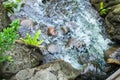Top view of the creek. Water flows on stones. Bubbles and foam on the water. Abstract natural background