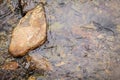 Top view of the creek, Water flows on stones. Bubbles and foam on the water. natural background in selective focus