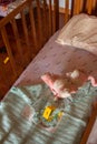 Top view of a crib that is evidence of a baby kidnapping where the detective puts the evidence marked with yellow card