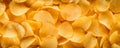 Top view of crispy appetizing yellow potato chips background Royalty Free Stock Photo