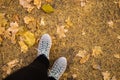 Top view of crop anonymous person in boots standing on ground covered with fallen yellow leaves. Copy space mockup