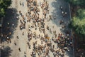 Top view crowd of people walking on the road Royalty Free Stock Photo