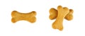 Top view of crunchy brown bone shaped dog biscuit as a treat set isolated on white background close up.