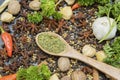 Crushed bay leaves with variety spices Royalty Free Stock Photo