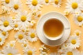 Top view of cup of Camomile tea surrounded by flowers on yellow background Royalty Free Stock Photo