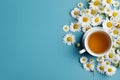 Top view of cup of Camomile tea surrounded by flowers on blue background with copy space Royalty Free Stock Photo