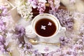 Top view of a cup of coffee in the middle of purple and white lilac blossoms Royalty Free Stock Photo