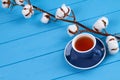 Top view cup of tea and pussy willow branch. Royalty Free Stock Photo